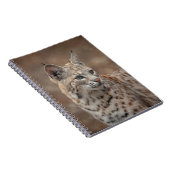 ボブキャットポートレート ノートブック (右側)