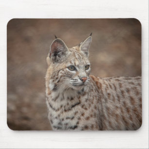ボブキャットポートレート マウスパッド