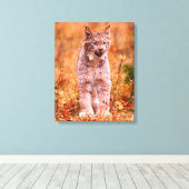 ボブキャット狩り |秋の森 キャンバスプリント (インサイチュ (ウッドフロア))