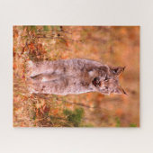 ボブキャット狩り |秋の森 ジグソーパズル (横)
