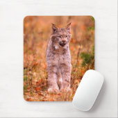 ボブキャット狩り |秋の森 マウスパッド (マウス)