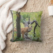 ボブキャット装飾用クッション クッション (ブランケット)