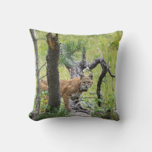 ボブキャット装飾用クッション