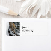 ボブキャット雪水写真 ラベル (インサイチュ)