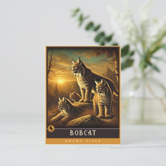 ボブキャット | かわいい家族ヴィンテージ動物はがき ポストカード (スタンド正面)