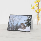 ボブキャット カード (黄色い花)