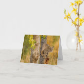 ボブキャット カード (黄色い花)