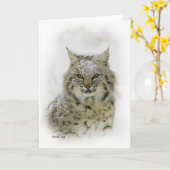 ボブキャット カード (黄色い花)