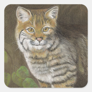 ボブキャット スクエアシール