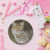 ボブキャット ペーパープレート (パーティー)