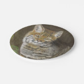 ボブキャット ペーパープレート (アングル)