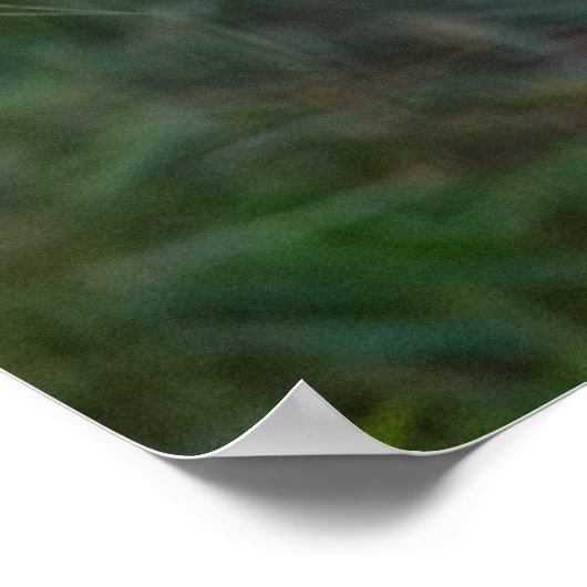 ボブキャット ポスター (角)