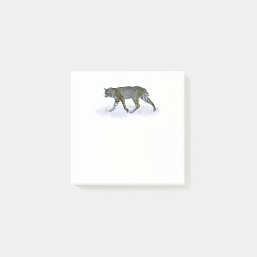 ボブキャット ポストイット (正面)