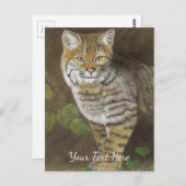 ボブキャット ポストカード (正面/裏面)