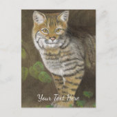 ボブキャット ポストカード (正面)
