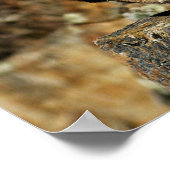 ボブキャット – ポン打ち出し準備完了 ポスター (角)