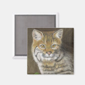 ボブキャット マグネット (正面/裏面)