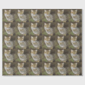 ボブキャット ラッピングペーパー (フラット)