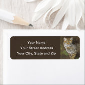 ボブキャット ラベル (インサイチュ)