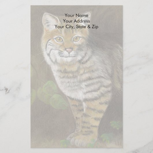 ボブキャット 便箋 (正面)