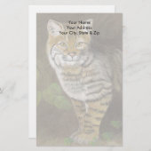 ボブキャット 便箋 (正面/裏面)