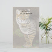 ボブキャット 便箋 (スタンド正面)