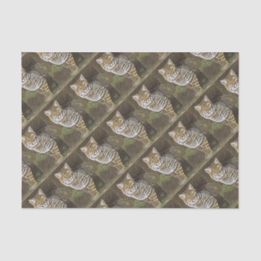 ボブキャット 薄葉紙 (正面)