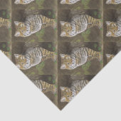 ボブキャット 薄葉紙 (詳細)