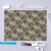 ボブキャット 薄葉紙 (クラフト)