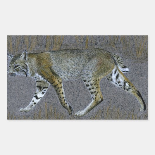 ボブキャット 長方形シール (正面)