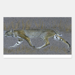 ボブキャット 長方形シール