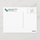 ボブッ独身のク ポストカード (裏面)