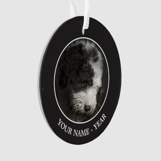 ボブテールの子犬のポートレートインstudio オーナメント (正面)