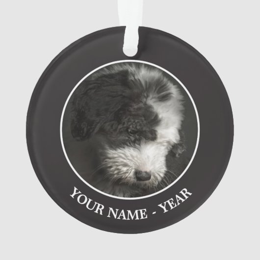 ボブテールの子犬のポートレートインstudio オーナメント (裏面)