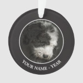 ボブテールの子犬のポートレートインstudio オーナメント (正面)