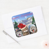 「ボブハンバグ」猫テーマクリスマスステッカー スクエアシール (封筒)