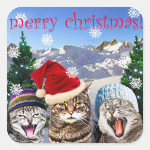 「ボブハンバグ」猫テーマクリスマスステッカー スクエアシール