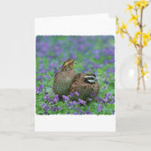 ボブホワイトウズラ撮影 カード (黄色い花)