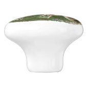 ボブホワイトウズラ科 セラミックノブ (側面)