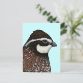 ボブホワイトウズラ頭 ポストカード (スタンド正面)