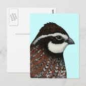 ボブホワイトウズラ頭 ポストカード (正面/裏面)