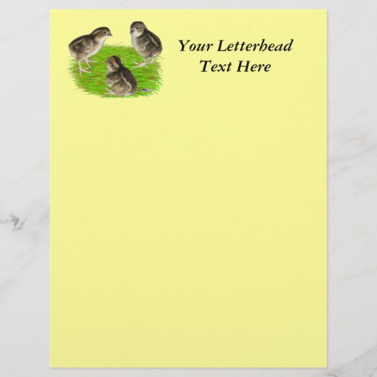 ボブホワイトウズリチックス (正面)