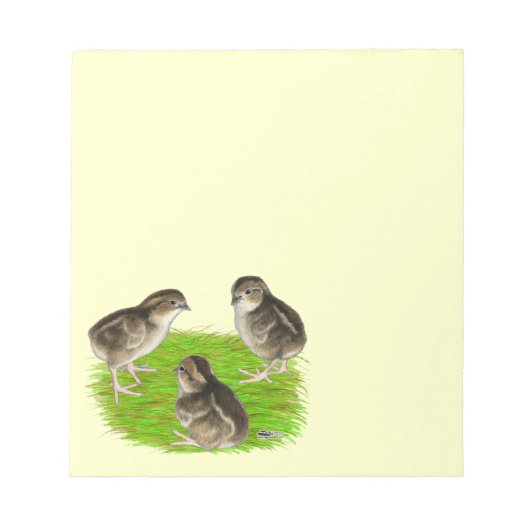 ボブホワイトウズリチックス ノートパッド (正面)