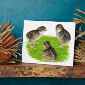 ボブホワイトウズリチックス フォトプラーク (側面)