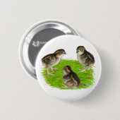 ボブホワイトウズリチックス 缶バッジ (正面&裏面)