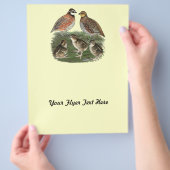 ボブホワイトウワイルファミリー チラシ (手)