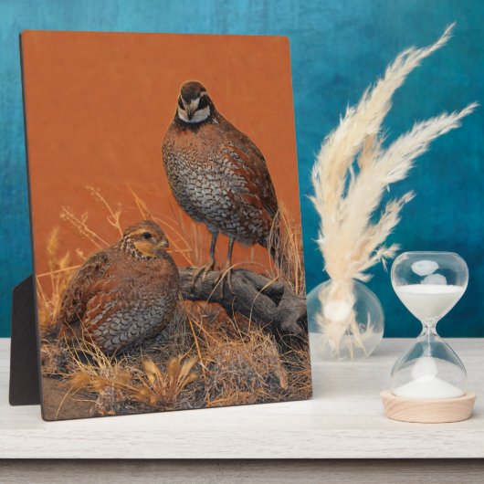 ボブホワイトウワイル（ジョージア、ミズーリおよびテネシー） フォトプラーク (側面)