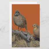 ボブホワイトウワイル（ジョージア、ミズーリ、テネシー） 便箋 (正面/裏面)