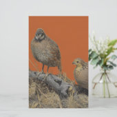 ボブホワイトウワイル（ジョージア、ミズーリ、テネシー） 便箋 (スタンド正面)