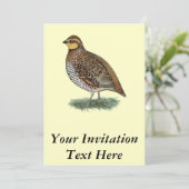 ボブホワイトウワールヘン 招待状 (スタンド正面)